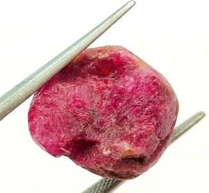Natural Ruby Untreated Unheated African Red Raw Rough Loose Gemstone L66 - Picture 1 of 12