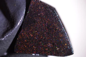 15ct 19x15x7 Black Matrix Opal Rohstein rough/rubbed/sliced Honduras Edelstein - Bild 1 von 4