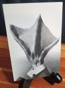 Goose Alien Politician Hand in Business Suit ©1981 Alfred Gescheidt APCC 4x6" - Picture 1 of 4