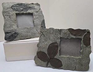 Pair of San Pacific Intl SPI Photo Frames Faux Stone Fall Leaves and Fish Fossil - Picture 1 of 9