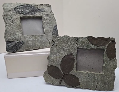Pair of San Pacific Intl SPI Photo Frames Faux Stone Fall Leaves and Fish Fossil - Image 1 of 4