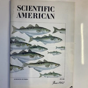 Scientific American 1982 Juni Fischschulen Birmingham Lunar Society Calmodulin - Bild 1 von 2