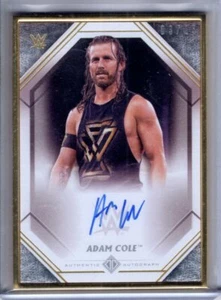 2021 Topps WWE Transcendent Auto ADAM COLE Gold Framed AUTOGRAPH 03/25 - Picture 1 of 1