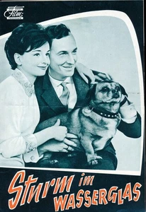 Sturm im Wasserglas - Das neue Film-Programm - DNF ungelocht (71/12) - Picture 1 of 1