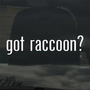 Got Raccoon? Custom Vinyl Sticker Decal Animal Trash Panda Nature Wildlife - Picture 1 of 3