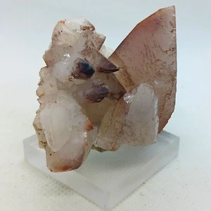Muestra de calcita de dientes de perro piedra de racimo de cristal de calcita roja natural con base - Imagen 1 de 9