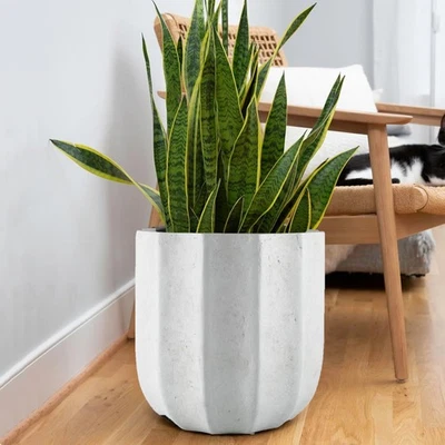 14 Inch Tall Modern Concrete Planter - 14.5x14 Inch Outdoor/Indoor Plant Pots... - Image 1 of 4