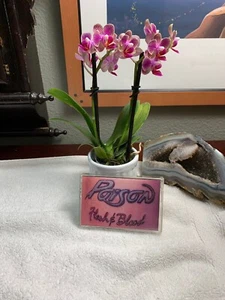 Cassette "Poison" Flesh and Blood 1990 Capital Records Works Great RARE - Picture 1 of 6