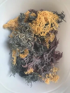 3 lbs Bulk Wild Purple Mix RAW Sea Moss 48ozs - 1 dry oz makes 32 oz gel - Picture 1 of 10