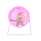 Hamster Exercise Toys Hamster Exercise Wheel Gerbil Chinchilla Toys