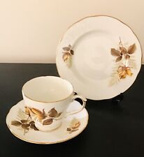 Vintage Duchess Trio Autumn Roses # 365 - Cup Saucer Plate - Unused