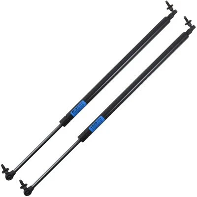 Soportes de elevación StrongArm (2) puerta levadiza Chrysler Town & Country 2001-2007 - 4535PR Foto 1 de 3