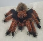 Folkmanis Tarantula Hairy Spider 9" Plush Hand Puppet Stuffed Animal Small Toy