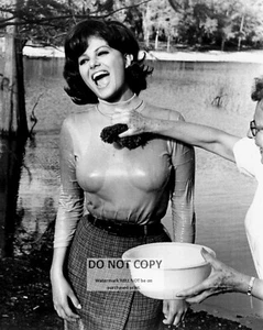 ACTRESS CLAUDIA CARDINALE - 8X10 PUBLICITY PHOTO (FB-640) - Picture 1 of 1