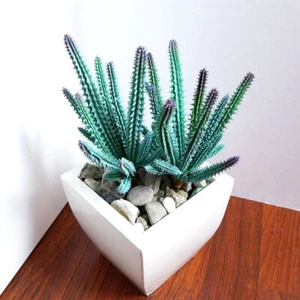 Artificial Plants Fake Gray Cactus Column 2 Pcs Succulents (#55) - Picture 1 of 6