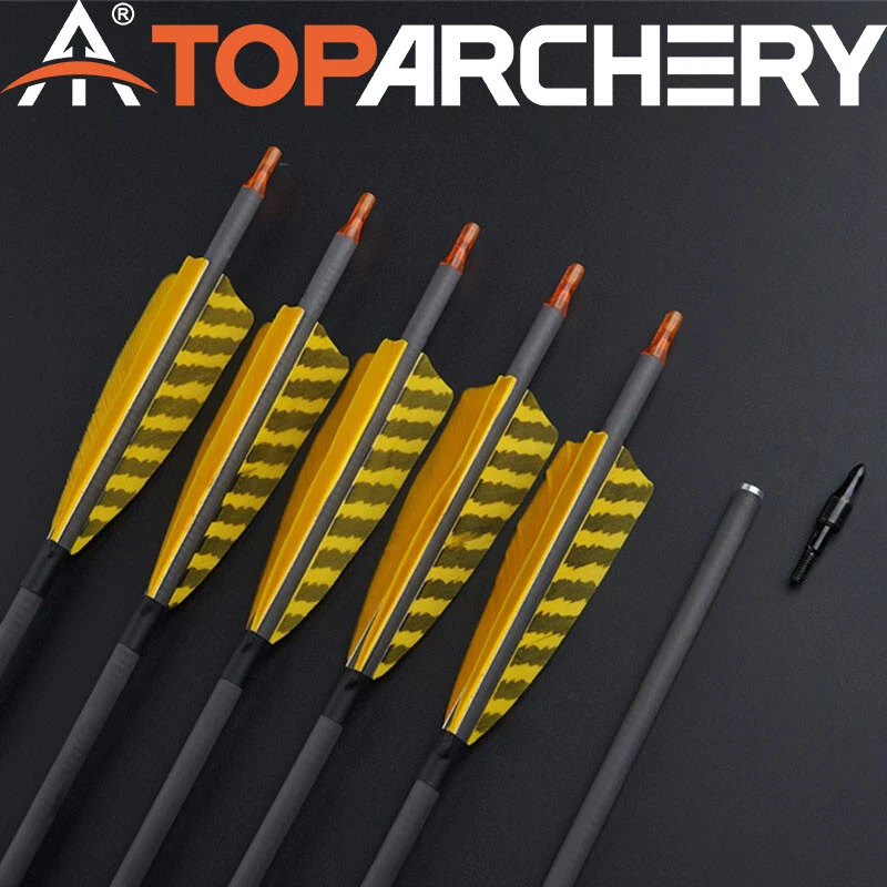 6/12X 32" Carbon Arrow SP400 4" Turkey Feathers Hunting for Recurve Bow/Longbow - Image 1 of 4