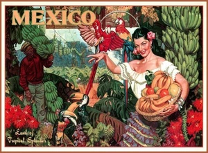 a219 Mexiko Tropische Pracht Vintage Reise Poster Kühlschrankmagnet - Bild 1 von 1