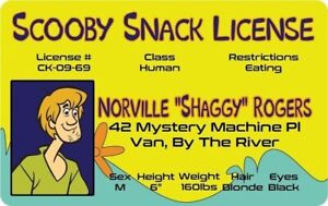 Shaggy of Scooby Doo Laminated Novelty Snack License !!! Free shipping in U.S.