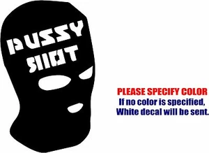Pussy Riot Graphic Die Cut decal sticker Car Truck Boat Window Bumper 7" - Picture 1 of 3