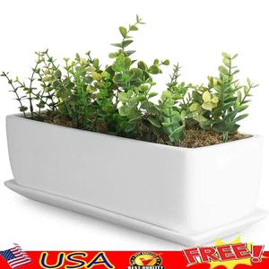 Unglazed Ceramic Succulent Planter W/ Drainage Holes Removable Tray Indoor Use - Picture 1 of 7