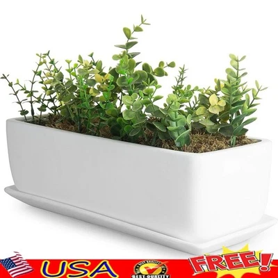 Unglazed Ceramic Succulent Planter W/ Drainage Holes Removable Tray Indoor Use - Image 1 of 4