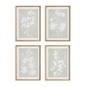 Moderne organische botanische Wandbilder - 4er Set, Naturholzrahmen - Bild 1 von 7