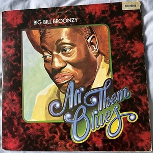 Vinyl 2 LP Set: Big Bill Broonzy: All Them Blues: DJM: DJD28009 stereo - Picture 1 of 8