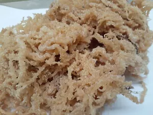 Irish Moss Sea Moss 3 lb |100% Raw Wild Crafted -48 Oz Jamaica authentic  - Picture 1 of 4