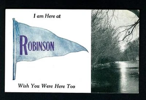 AU122 Robinson, Vt. Pennant Landscape "Wish you were here Too" 1912 - Picture 1 of 2