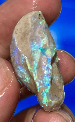 Fósil de ópalo con caparazón completo Lightning Ridge ópalos australianos fósiles almeja fosilizada Foto 1 de 4