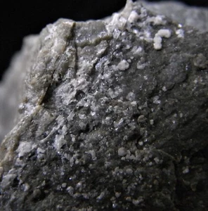 BAKERITE (BAK1) Mineral from Rio Gavottino, Italy - Picture 1 of 4