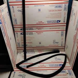 Tira climática para ventana delantera derecha Isuzu Rodeo 92-96 con tira de moldura de ventana OEM - Imagen 1 de 9