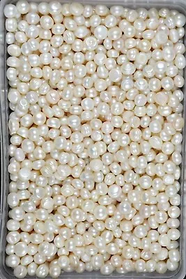 120 Ct Natural Pearl White Cabochon Shape Loose Certified Gemstone Lot - Image 1 of 4