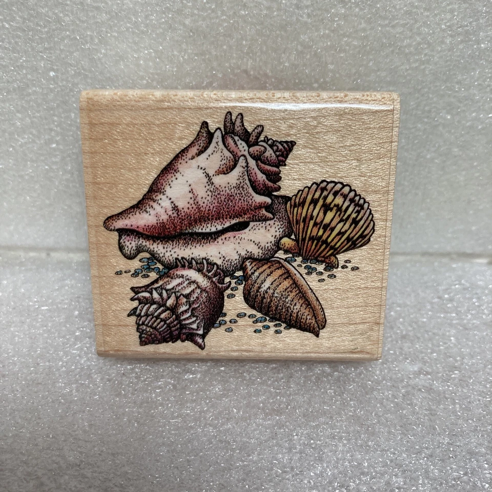 Rubber Stampede Stamp A817E Seashells 4 Ocean Shells Collage Conch Scallop Cone - Image 1 of 4
