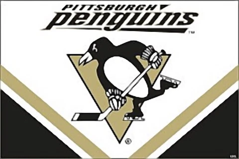3' x 5' Pittsburgh Penguins Licensed NHL Flag - Free Shipping Cover