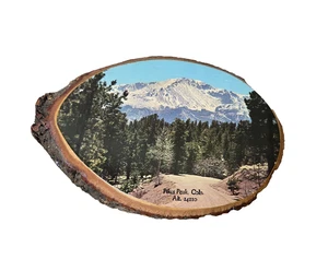 Arte de pared rústico placa madera rebanada lucios pico montañas de Colorado bosque naturaleza - Imagen 1 de 9