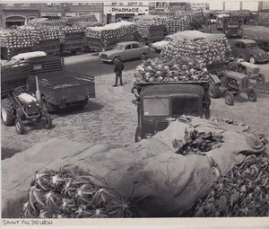 1960 -- SAINT POL DE LEON 3H408 - Bild 1 von 1