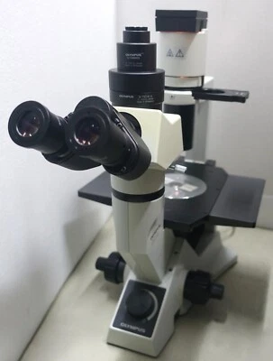 MICROSCOPIO INVERTIDO OLYMPUS CKX41 con LCAch N 10x, 20x, 40x PHP UIS2 OBJETIVOS Foto 1 de 4