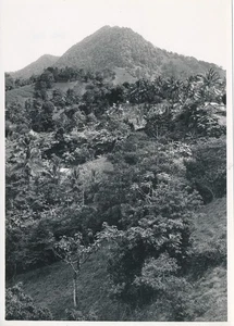 MARTINIQUE c. 1940 - Saint Pierre Route de Fonds St-Denis Antilles - P 364 - Picture 1 of 2