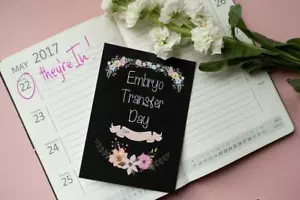 IVF-Reisekarten® - IVF-Meilensteine feiern / Fruchtbarkeitsgeschenk / IVM / IUI - Bild 1 von 24