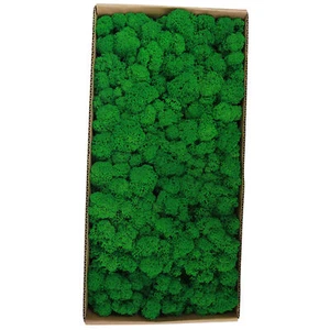 Preserved Moss Gardenning Art Wall Decor Moss Bulk Micro Landscape Decorat 6 AU - Picture 1 of 10
