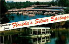 Vintage postcard of Florida's Silver Springs