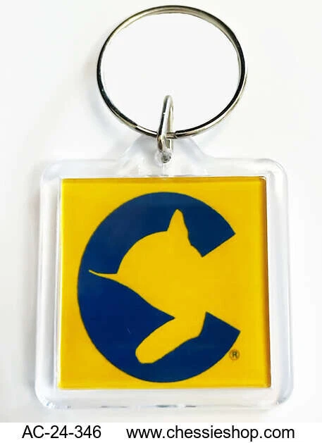 Брелок Chessie System - 1,5x1,5 дюйма ручная работа акриловый прозрачный C&O Railroad - Изображение 1 из 1