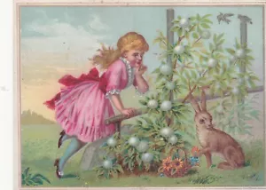 Girl in Pink Dress Looking on To Rabbit Flowers No Advertising Vict Card c1880s - Picture 1 of 2