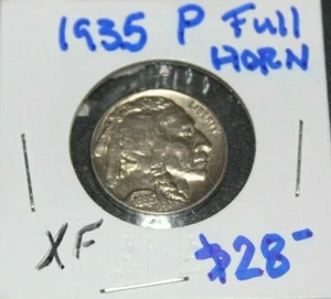 1935 P, Buffalo Nickel, Full Horn, Extra Fine, Clean and Attractive coin - Picture 1 of 4