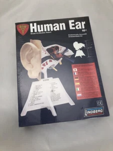 Skilcraft  Human Ear Anatomically Accurate Kit Teaching Aid or Unassembled Kit - Picture 1 of 5