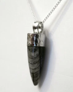925/- ECHT SILBER FASSUNG *** Fossiler Tintenfisch Anhänger ca. 4 cm - Bild 1 von 16