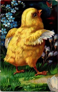 Yellow Chick Forget Me Nots Butterfly embossed Easter Postcard - Picture 1 of 2