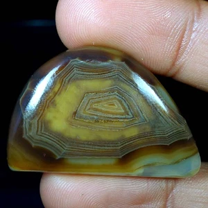 OnyxAgate Fancy Cabochon Loose Gemstones 51.50Cts 26x39x05mm - Picture 1 of 3