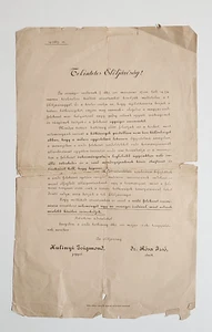 Seltene ungarische Juden im Newsletter über das neologische Judentum 1889 - Bild 1 von 1